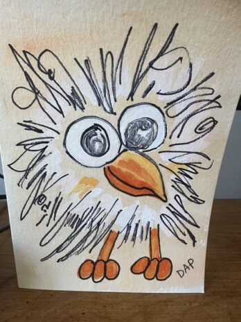 Crazy Bird