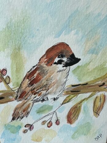 Sparrow Wishes